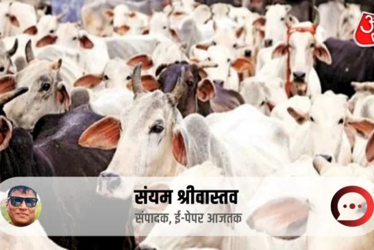 बड़ी खबर: यूपी में गोमूत्र खरीद के पीछे कितना दम कितनी तै...