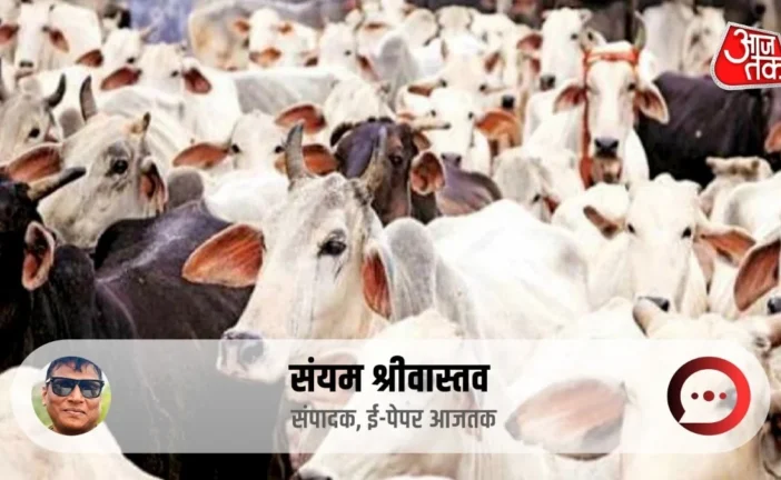 बड़ी खबर: यूपी में गोमूत्र खरीद के पीछे कितना दम कितनी तै...