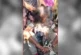 बड़ी खबर: लखनऊ से पकड़कर लाए हाथ बांधकर पहनाई चप्पलों की ...