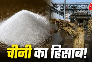 विदेशी: 1 किलो चीनी बनाने में कितना गन्ना लगता है