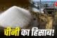 विदेशी: 1 किलो चीनी बनाने में कितना गन्ना लगता है