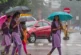 शिक्षा: भारी बारिश का कहर यहां कक्षा 1 से 8 तक के सभी स्क...
