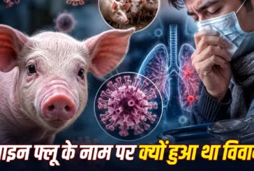 अहम: Swine flu सूअर से क्यों जुड़ा संक्रमित इंसान से फैलन...