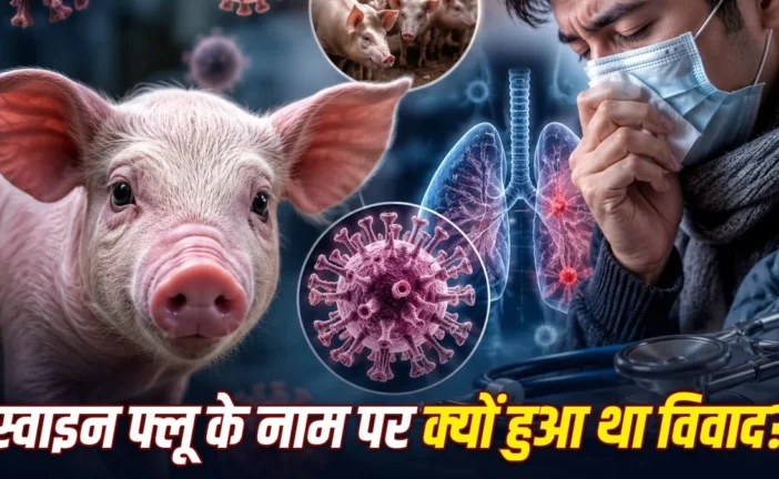 अहम: Swine flu सूअर से क्यों जुड़ा संक्रमित इंसान से फैलन...