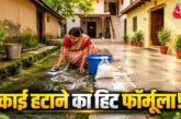 अहम: छत और आंगन में जम गई जिद्दी काई 5 रुपये का ये सफेद प...