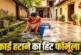 अहम: छत और आंगन में जम गई जिद्दी काई 5 रुपये का ये सफेद प...