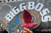 ताजा: Bigg Boss 20 House लग्ज़ूरियस इंटीरियर देख चौंक जाएंगे