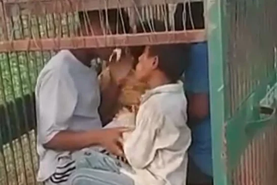 ताजा: बिजनौर में गुलदार का पिंजरा बना मनोरंजन का अड्डा