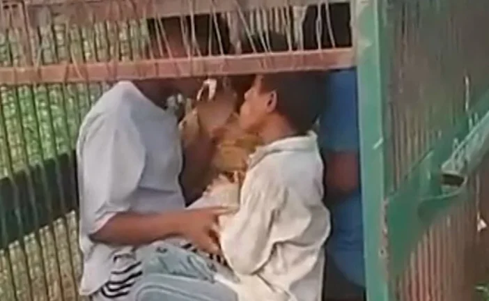 ताजा: बिजनौर में गुलदार का पिंजरा बना मनोरंजन का अड्डा
