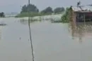 ताजा: बिहार के मुंगेर में गंगा का तांडव मचान पर रहने को ब...