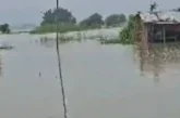 ताजा: बिहार के मुंगेर में गंगा का तांडव मचान पर रहने को ब...