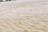 ताजा: बिहार के राघोपुर में गंगा का तांडव गांव छोड़कर भागन...