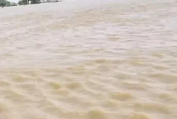 ताजा: बिहार के राघोपुर में गंगा का तांडव गांव छोड़कर भागन...