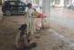 ताजा: मां की लाश के बगल में रोती बच्ची जमीन पर बैठा पति प...