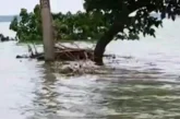 बड़ी खबर: बिहार के नवगछिया में कोसी नदी का तांडव बेघर हुए...