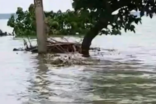 बड़ी खबर: बिहार के नवगछिया में कोसी नदी का तांडव बेघर हुए...
