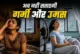 Monsoon effects: मॉनसून में उमस से भर गया किराए का छोटा कमरा बिन...